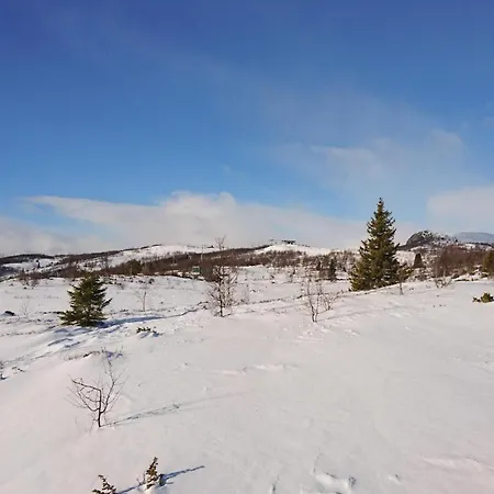 別荘 Thorleifsbuskogheim *