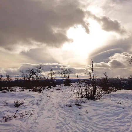 別荘 Thorleifsbuskogheim