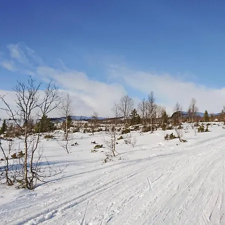 別荘 Thorleifsbuskogheim