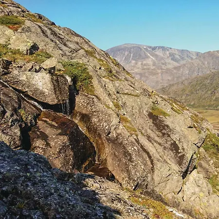 Thorleifsbuskogheim *