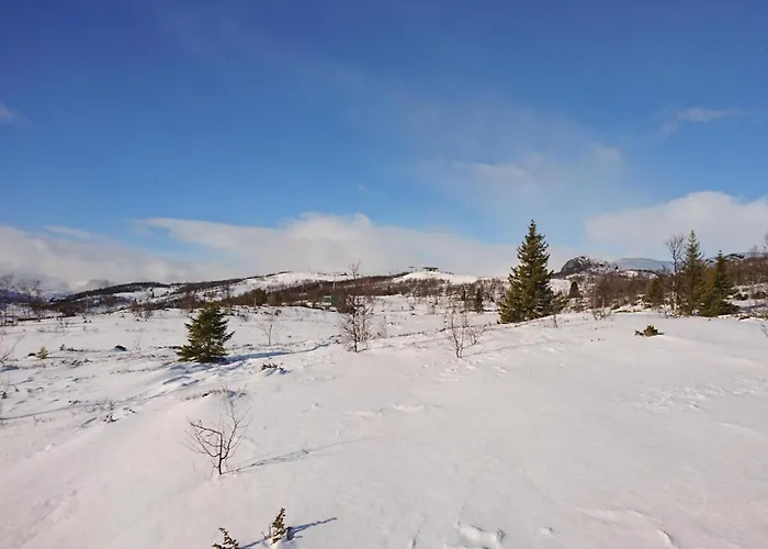 Semesterbostad Thorleifsbuskogheim *