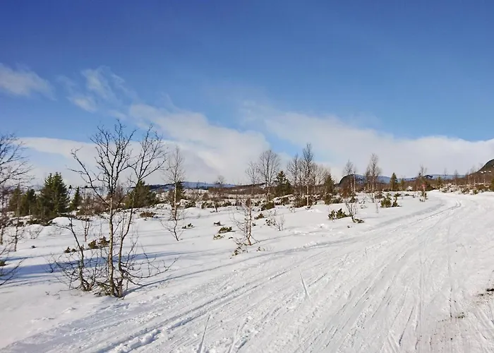 Semesterbostad Thorleifsbuskogheim