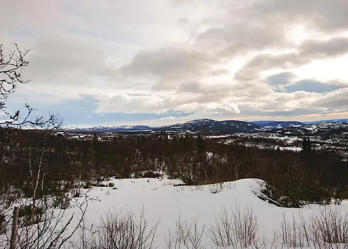 Thorleifsbuskogheim بيت للعطل Vang I Valdres