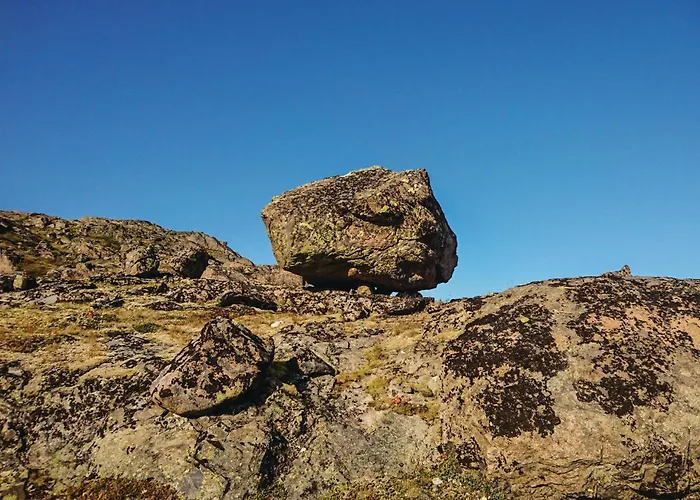Semesterbostad Thorleifsbuskogheim