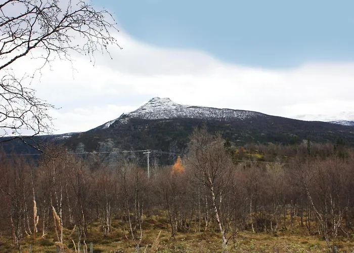 Thorleifsbuskogheim Vang I Valdres