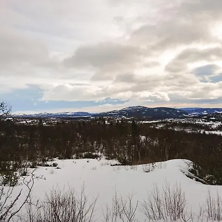 Thorleifsbuskogheim Holiday home Vang I Valdres