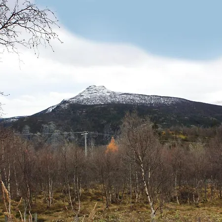 Thorleifsbuskogheim Vang I Valdres